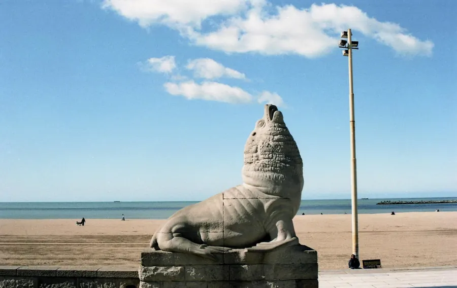 Lobo marino de piedra frente a la playa Bristol
